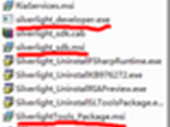 .NET详解:SilverLight WCF WF的IIS配置
