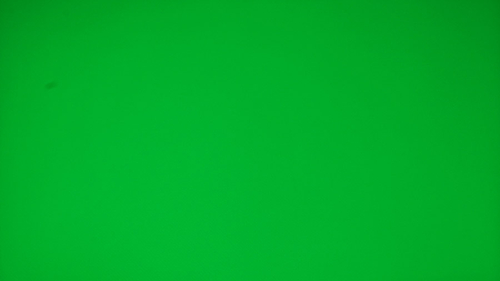 奥图码dh5101的绿色实拍图