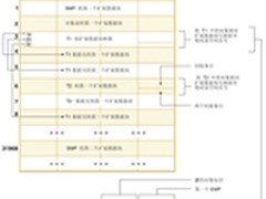 DB2表空间理论基础：表空间的管理方式