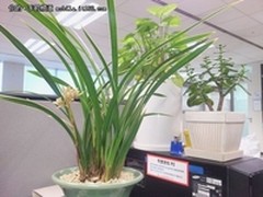 搭载英特尔系统 这才是真正的Galaxy S3