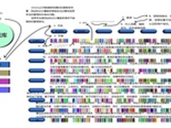 破解CSDN泄密门：原理剖析与破解攻略