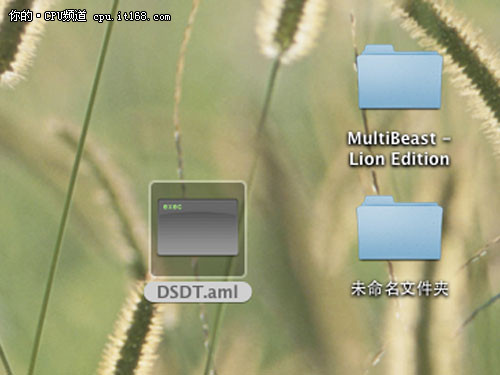 userDSDT安装