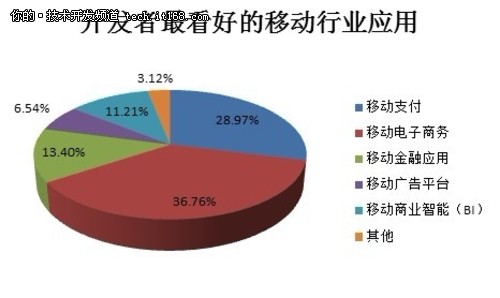 开发者看好移动电子商务