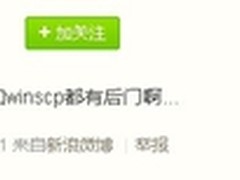 中文版putty后门事件分析