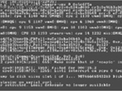 如何解决VMware ESX中出现的常见问题？