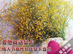 爱他就送显卡 情人节高性价比显卡盘点