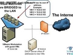 如何连接VMware 子虚拟机到互联网？