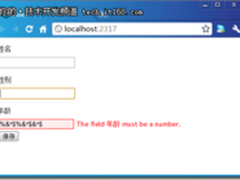 ASP.NET MVC：定制Numeric属性验证消息