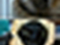 给你的猫咪拍张照吧 网络流传三明治法