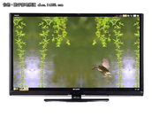 46英寸液晶电视 夏普LCD-46LX530A评测