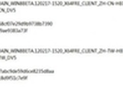 Win 8消费者预览版安装文件信息及截图