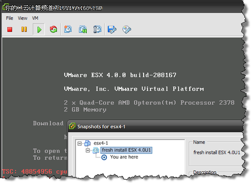 为虚拟机中运行的VMware ESX 4进行快照