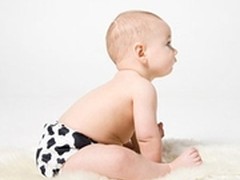 无限畅拍 巴法络LS-QVL/E助力