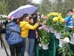 光线摄影大讲堂走进重庆品花卉摄影大餐
