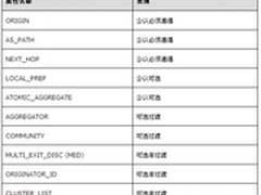 H3C BGP边界网关路由协议技术分析 