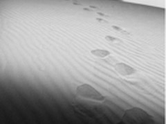 云计算推动超大规模数据中心发展与应用