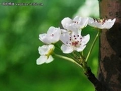 游子寻春半出城 时尚MM晒春游雷柏耳机