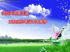 低价实用是王道 三款低价笔记本齐推荐