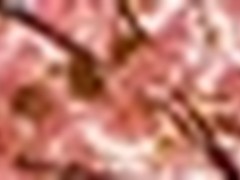 清明自驾游攻略之拼啦引拼车网行业革命