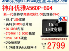 降爆2799元 神舟GT540M独显本A560P-B94