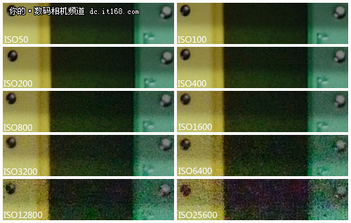 高感ISO 1600可用 尼康D800感光度测试