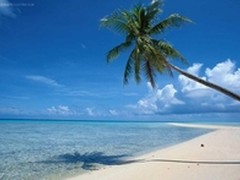 爱国者三防相机T3炒火海边旅游