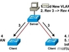 网管员不可不知  交换机VTP协议教程