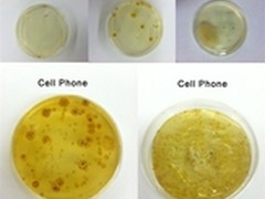 iPhone上的细菌是马桶的18倍 快消毒吧