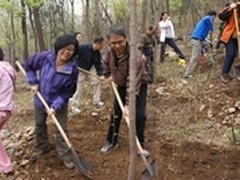 爱普生公益林，为这个春天再添“绿妆”