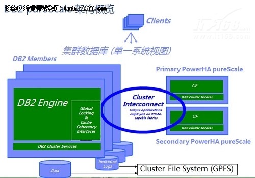 DB2王飞鹏:数据库集群中的“狼群战术”