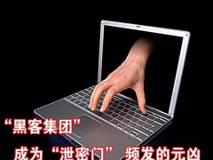 黑客成“泄密门”元凶 何以还网络净土?