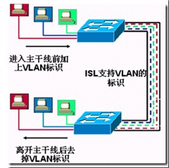 VLAN是什么？  交换机基本设置教程