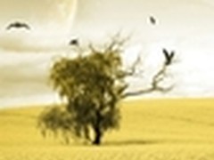 五一假期旅游拍照 美化共享用酷盘上传