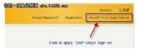3步搞定 利用SAP Passport登录SCN