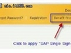 3步搞定 利用SAP Passport登录SCN
