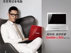 标配14英寸显示器 东芝L800-C03W现报价