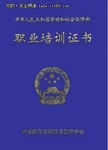 瑞星获工信部网络信息安全培训独家授权