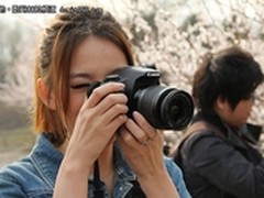 入门单反最强机 佳能550D套机4050元