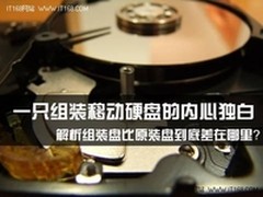 悲情：一只组装移动硬盘的内心独白