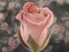 最实在DIY体验 超频三静音电源选购攻略