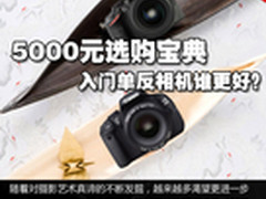 5000元选购宝典 入门单反相机谁更好？