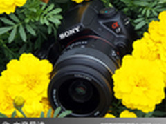 功能丰富简单易用 索尼单电A37全面评测