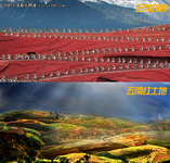 2012 SAP中国商业同略会亮点全面解读