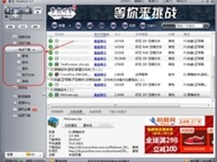 稍改设置 快车Flashget文件管理更强大