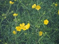 大师风采旗舰品质 奥林巴斯E-M5样片赏