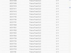 3G手机网络电话打法国才0.11元一分钟