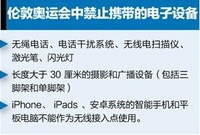 奥运隐形冠军 IT力量为奥运会保驾护航