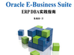 Oracle电子商务套件：功能和结构概述