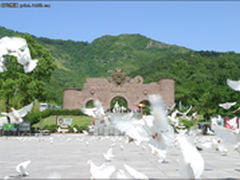 答题知晓景区 花果山网络营销活动升级