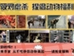 给流浪猫狗安家 百脑汇宠物慈善捐助会